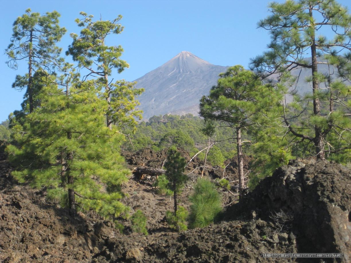 Teide grün